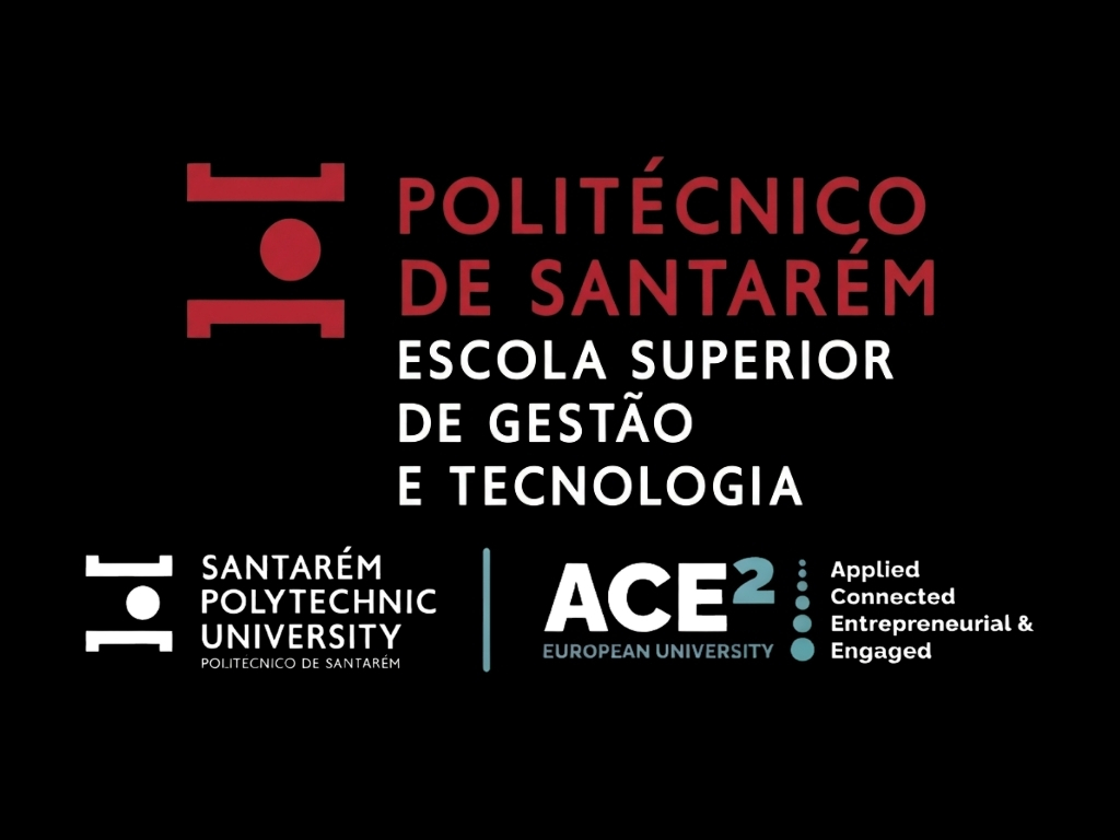 Desarrollo e Implementación de una Estrategia Digital Integrada para Consultoría de Viajes